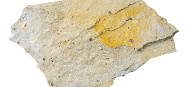 Elvan rock sample showing a fine-grained texture with yellowish mineral staining, photographed on a wet, reflective surface.