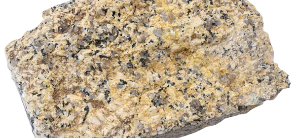 Tourmaline granite sample featuring black tourmaline crystals scattered within a coarse, yellowish-white granitic matrix on a wet surface.