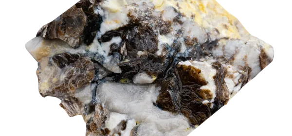 Zinnwaldite pegmatite sample with dark mica crystals and white quartz, showcasing lithium-rich mineralisation and yellow surface staining.