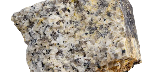 Zinnwaldite tourmaline granite sample showing speckled texture with lithium-rich mica, quartz, and dark tourmaline inclusions on wet surface.